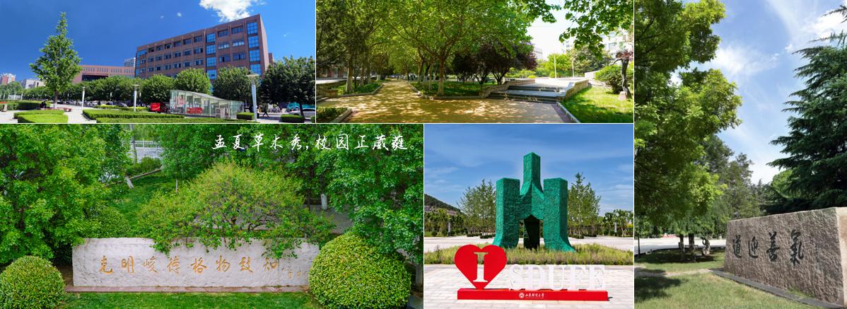 山东财经大学电子商务云服务器及软件采购项目