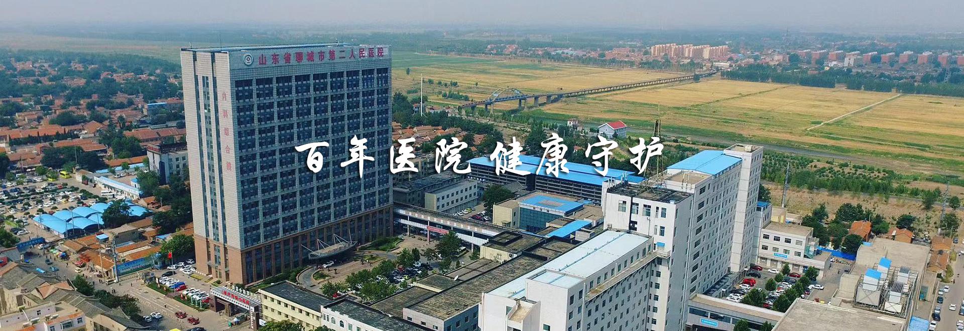 聊城市第二人民医院HRP软件系统